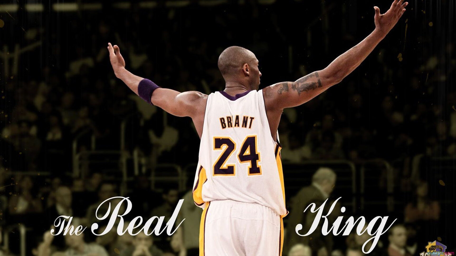 黄蜂险胜开拓者的背后，约基奇非典型统治，诠释现代篮球的终极答案